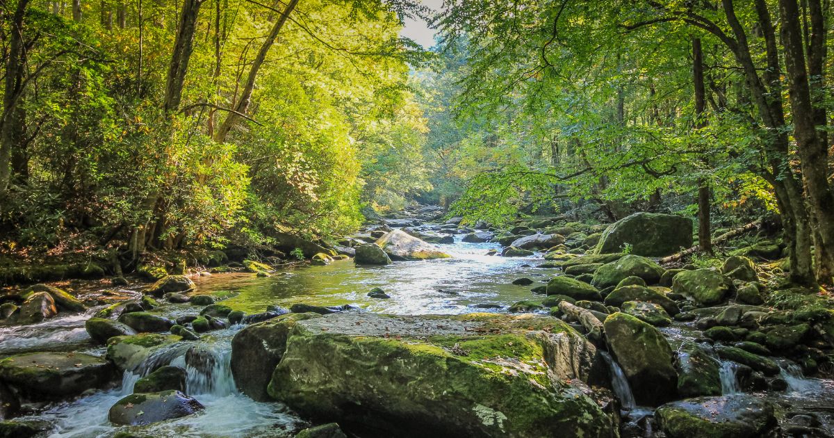 jak-nabit-kristal (3)